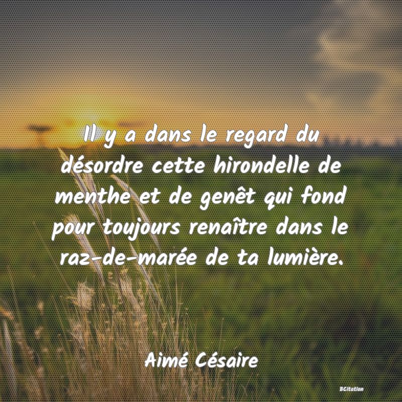 image de citation: Il y a dans le regard du désordre cette hirondelle de menthe et de genêt qui fond pour toujours renaître dans le raz-de-marée de ta lumière.