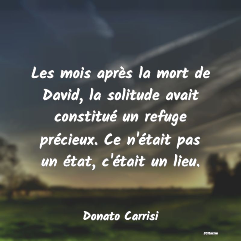 image de citation: Les mois après la mort de David, la solitude avait constitué un refuge précieux. Ce n'était pas un état, c'était un lieu.