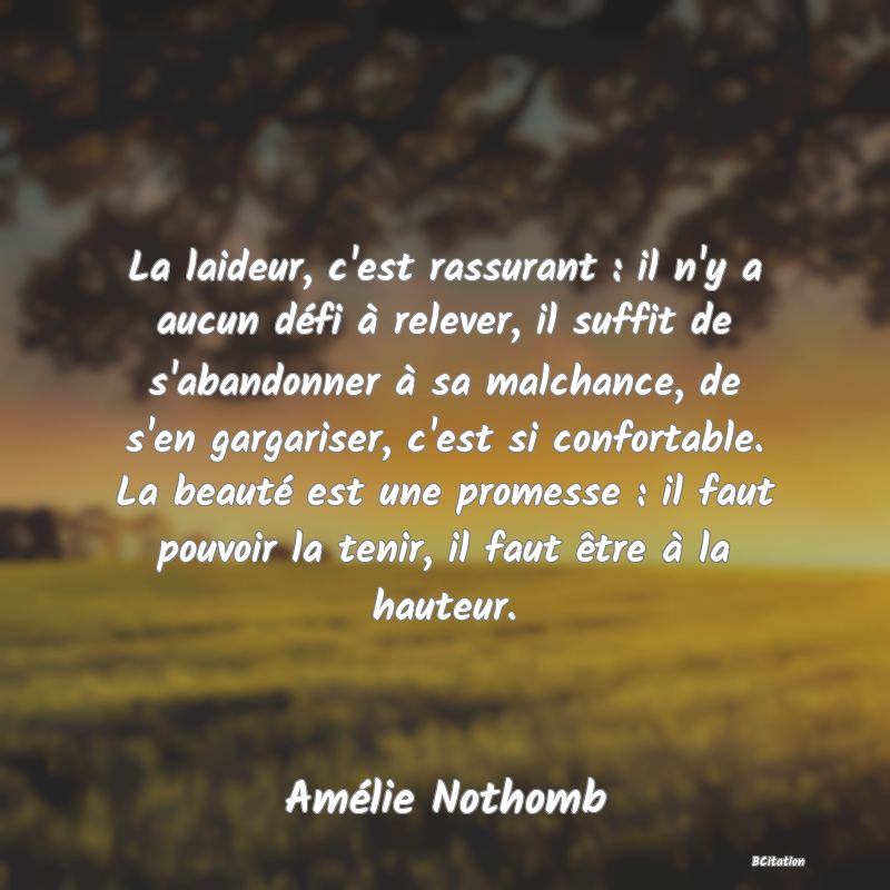 image de citation: La laideur, c'est rassurant : il n'y a aucun défi à relever, il suffit de s'abandonner à sa malchance, de s'en gargariser, c'est si confortable. La beauté est une promesse : il faut pouvoir la tenir, il faut être à la hauteur.