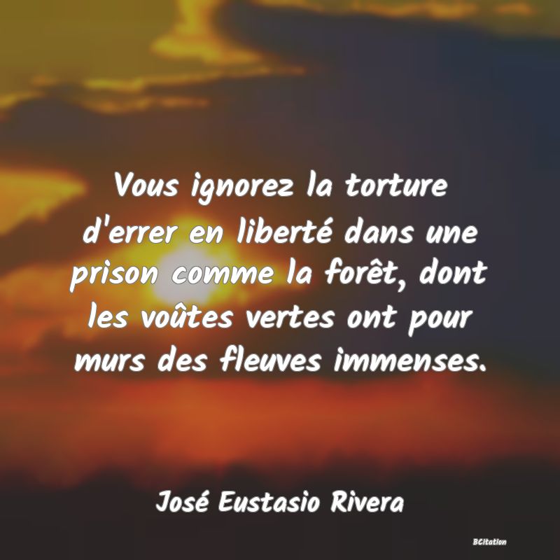 image de citation: Vous ignorez la torture d'errer en liberté dans une prison comme la forêt, dont les voûtes vertes ont pour murs des fleuves immenses.