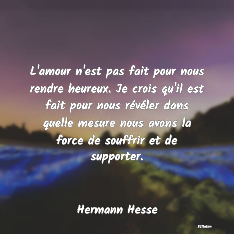 image de citation: L'amour n'est pas fait pour nous rendre heureux. Je crois qu'il est fait pour nous révéler dans quelle mesure nous avons la force de souffrir et de supporter.