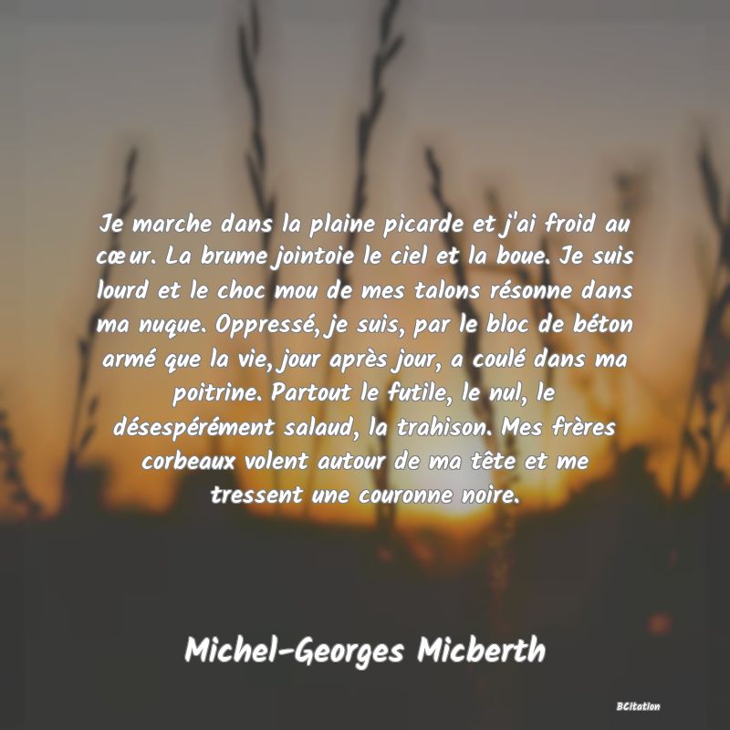 image de citation: Je marche dans la plaine picarde et j'ai froid au cœur. La brume jointoie le ciel et la boue. Je suis lourd et le choc mou de mes talons résonne dans ma nuque. Oppressé, je suis, par le bloc de béton armé que la vie, jour après jour, a coulé dans ma poitrine. Partout le futile, le nul, le désespérément salaud, la trahison. Mes frères corbeaux volent autour de ma tête et me tressent une couronne noire.