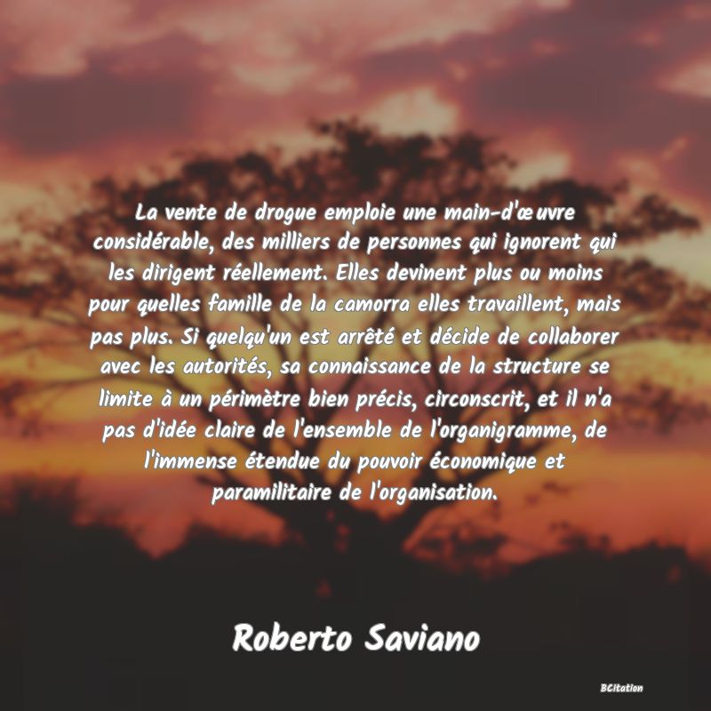 image de citation: La vente de drogue emploie une main-d'œuvre considérable, des milliers de personnes qui ignorent qui les dirigent réellement. Elles devinent plus ou moins pour quelles famille de la camorra elles travaillent, mais pas plus. Si quelqu'un est arrêté et décide de collaborer avec les autorités, sa connaissance de la structure se limite à un périmètre bien précis, circonscrit, et il n'a pas d'idée claire de l'ensemble de l'organigramme, de l'immense étendue du pouvoir économique et paramilitaire de l'organisation.