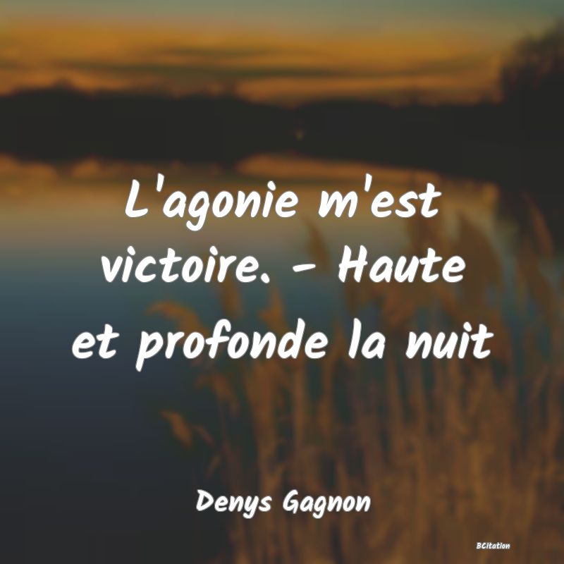 image de citation: L'agonie m'est victoire. - Haute et profonde la nuit