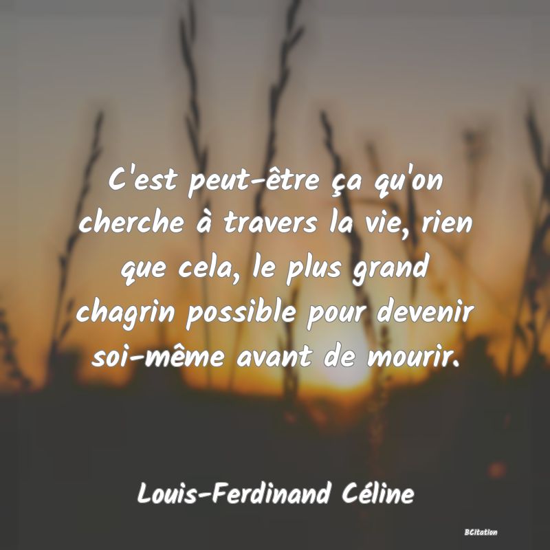 image de citation: C'est peut-être ça qu'on cherche à travers la vie, rien que cela, le plus grand chagrin possible pour devenir soi-même avant de mourir.