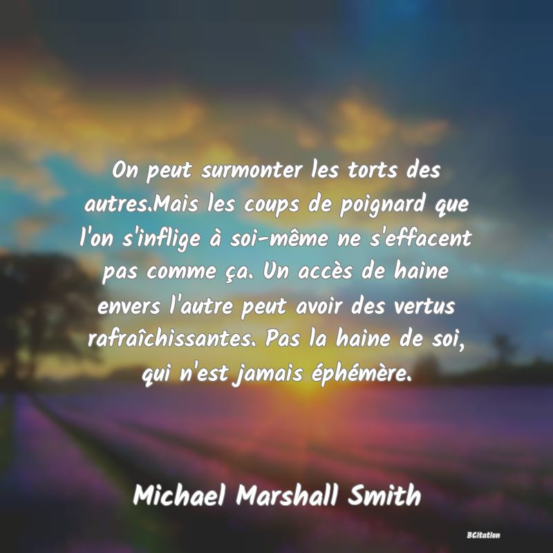 image de citation: On peut surmonter les torts des autres.Mais les coups de poignard que l'on s'inflige à soi-même ne s'effacent pas comme ça. Un accès de haine envers l'autre peut avoir des vertus rafraîchissantes. Pas la haine de soi, qui n'est jamais éphémère.