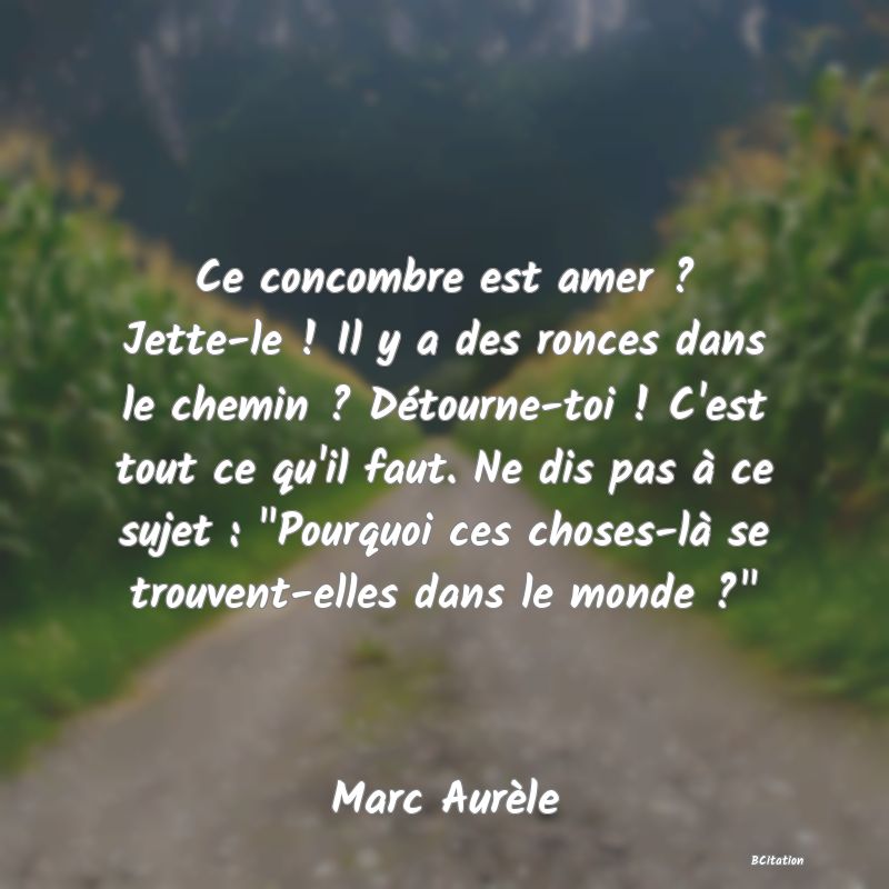 image de citation: Ce concombre est amer ? Jette-le ! Il y a des ronces dans le chemin ? Détourne-toi ! C'est tout ce qu'il faut. Ne dis pas à ce sujet :  Pourquoi ces choses-là se trouvent-elles dans le monde ? 