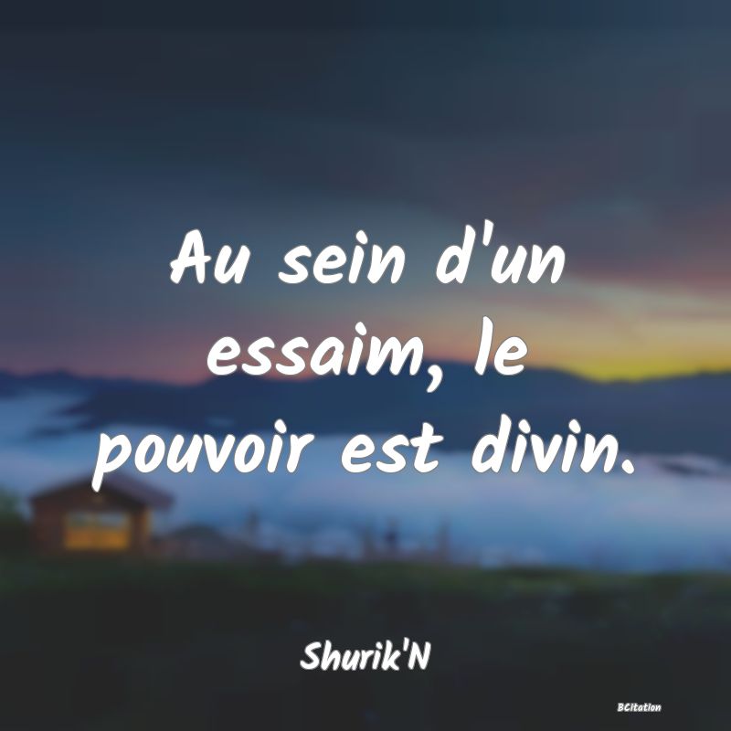 Belle Citation - Au sein d'un essaim, le pouvoir est divin. - Shurik'N