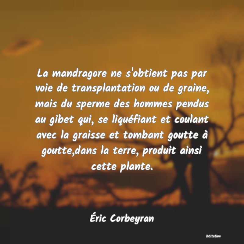 image de citation: La mandragore ne s'obtient pas par voie de transplantation ou de graine, mais du sperme des hommes pendus au gibet qui, se liquéfiant et coulant avec la graisse et tombant goutte à goutte,dans la terre, produit ainsi cette plante.