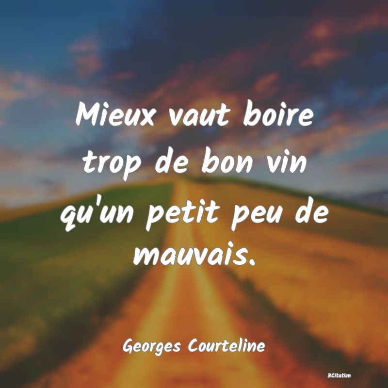 image de citation: Mieux vaut boire trop de bon vin qu'un petit peu de mauvais.