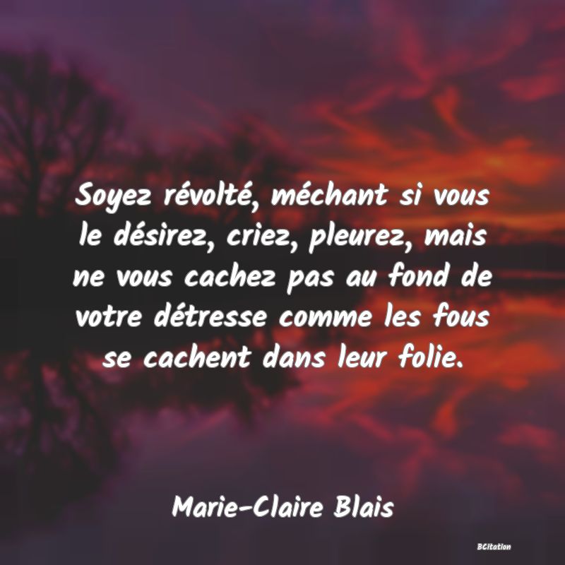 image de citation: Soyez révolté, méchant si vous le désirez, criez, pleurez, mais ne vous cachez pas au fond de votre détresse comme les fous se cachent dans leur folie.