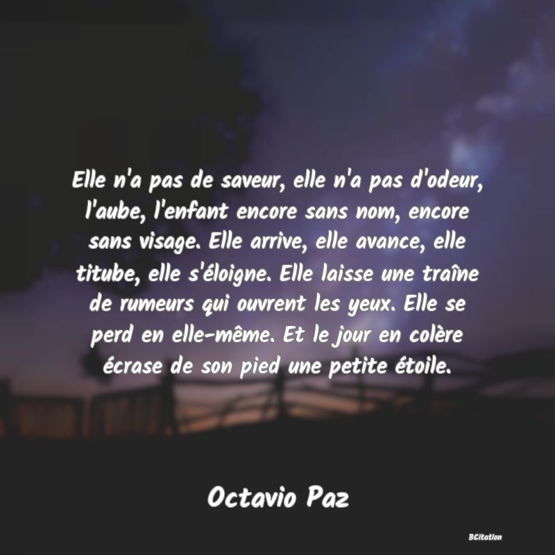 image de citation: Elle n'a pas de saveur, elle n'a pas d'odeur, l'aube, l'enfant encore sans nom, encore sans visage. Elle arrive, elle avance, elle titube, elle s'éloigne. Elle laisse une traîne de rumeurs qui ouvrent les yeux. Elle se perd en elle-même. Et le jour en colère écrase de son pied une petite étoile.