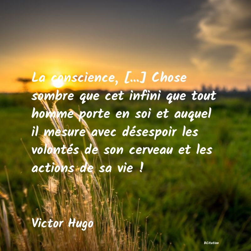 image de citation: La conscience, [...] Chose sombre que cet infini que tout homme porte en soi et auquel il mesure avec désespoir les volontés de son cerveau et les actions de sa vie !