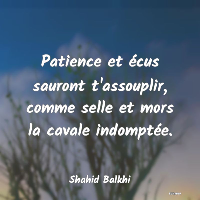 image de citation: Patience et écus sauront t'assouplir, comme selle et mors la cavale indomptée.