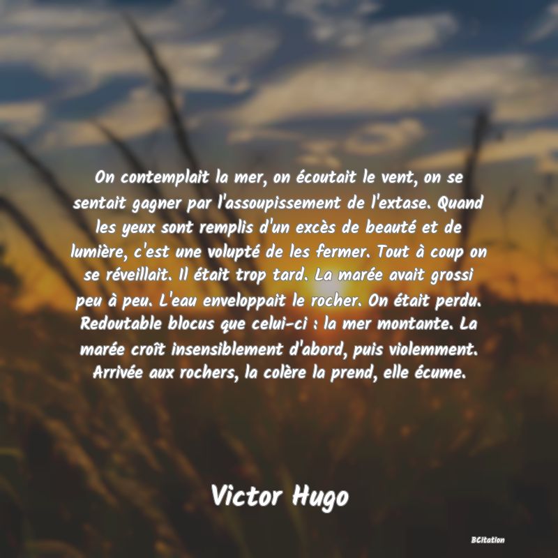 image de citation: On contemplait la mer, on écoutait le vent, on se sentait gagner par l'assoupissement de l'extase. Quand les yeux sont remplis d'un excès de beauté et de lumière, c'est une volupté de les fermer. Tout à coup on se réveillait. Il était trop tard. La marée avait grossi peu à peu. L'eau enveloppait le rocher. On était perdu. Redoutable blocus que celui-ci : la mer montante. La marée croît insensiblement d'abord, puis violemment. Arrivée aux rochers, la colère la prend, elle écume.