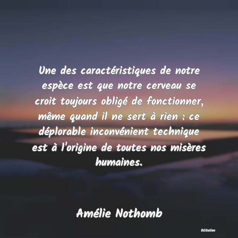 image de citation: Une des caractéristiques de notre espèce est que notre cerveau se croit toujours obligé de fonctionner, même quand il ne sert à rien : ce déplorable inconvénient technique est à l'origine de toutes nos misères humaines.