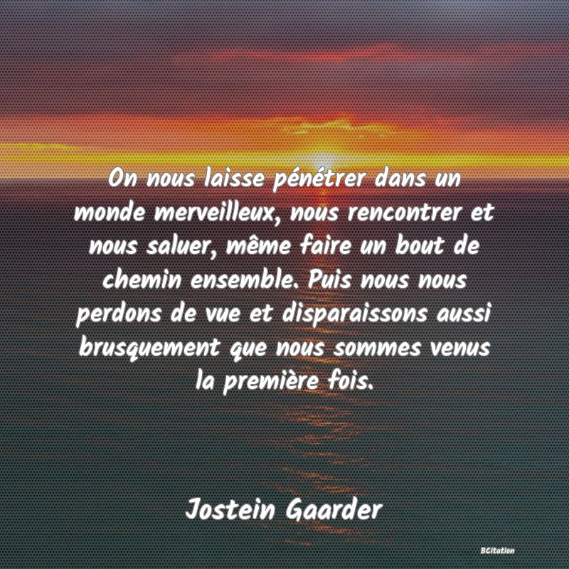 image de citation: On nous laisse pénétrer dans un monde merveilleux, nous rencontrer et nous saluer, même faire un bout de chemin ensemble. Puis nous nous perdons de vue et disparaissons aussi brusquement que nous sommes venus la première fois.