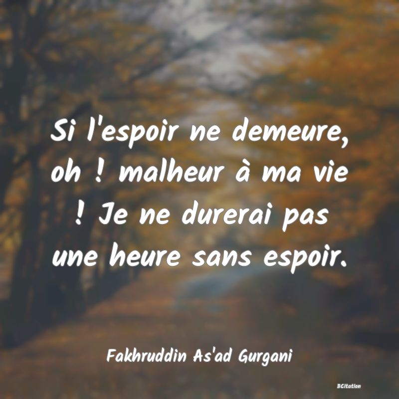 image de citation: Si l'espoir ne demeure, oh ! malheur à ma vie ! Je ne durerai pas une heure sans espoir.