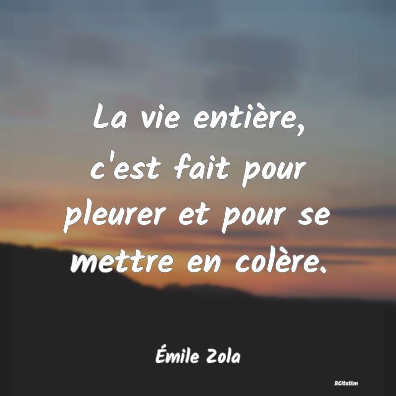 Belle Citation - La vie entière, c'est fait pour pleurer et pour se mettre en colère. - Émile Zola