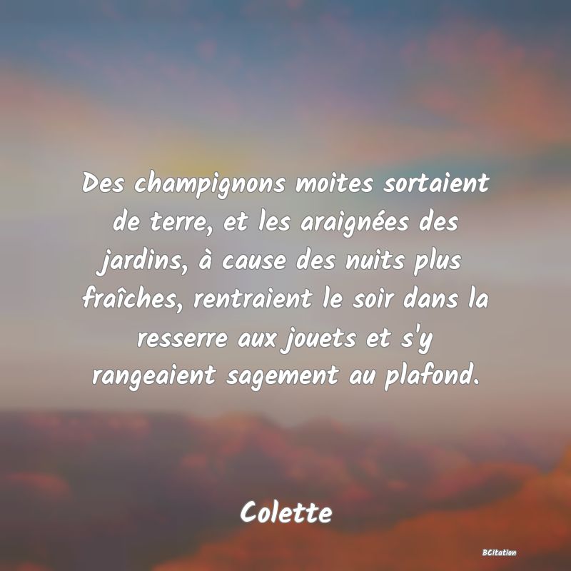 image de citation: Des champignons moites sortaient de terre, et les araignées des jardins, à cause des nuits plus fraîches, rentraient le soir dans la resserre aux jouets et s'y rangeaient sagement au plafond.