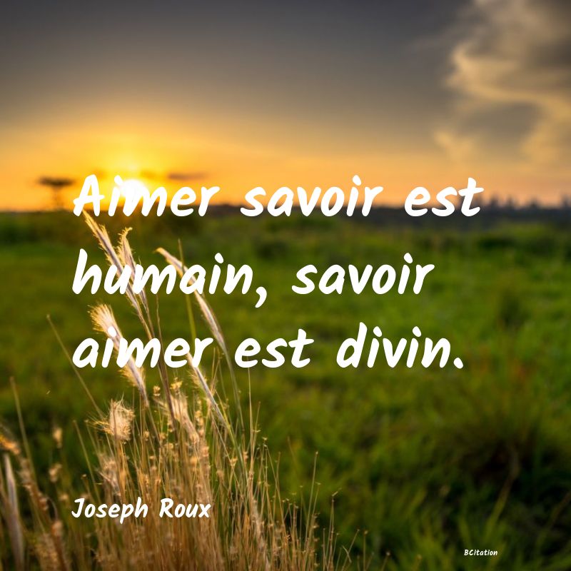 image de citation: Aimer savoir est humain, savoir aimer est divin.