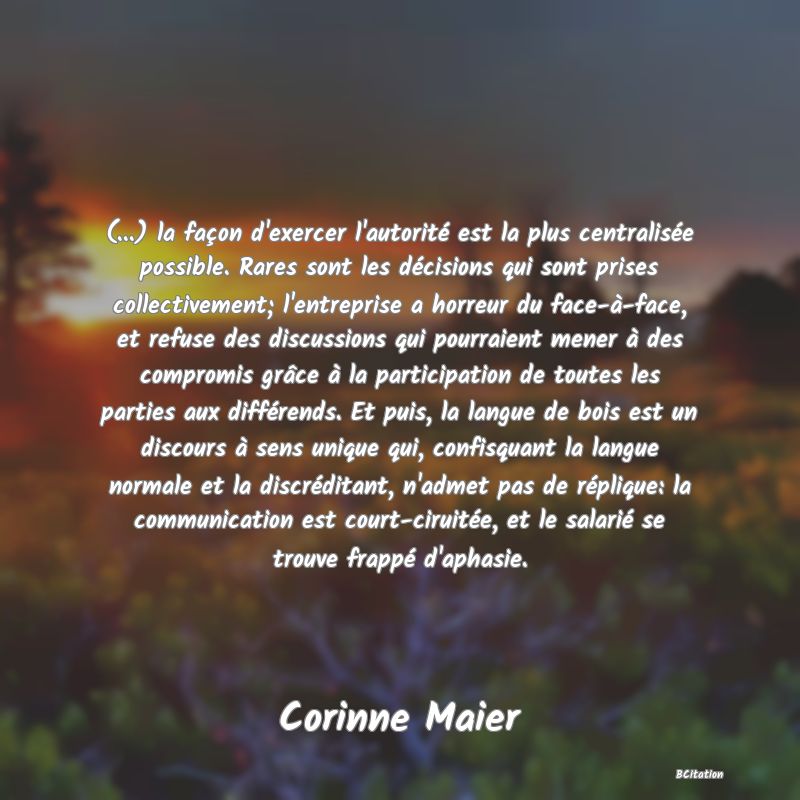 image de citation: (...) la façon d'exercer l'autorité est la plus centralisée possible. Rares sont les décisions qui sont prises collectivement; l'entreprise a horreur du face-à-face, et refuse des discussions qui pourraient mener à des compromis grâce à la participation de toutes les parties aux différends. Et puis, la langue de bois est un discours à sens unique qui, confisquant la langue normale et la discréditant, n'admet pas de réplique: la communication est court-ciruitée, et le salarié se trouve frappé d'aphasie.