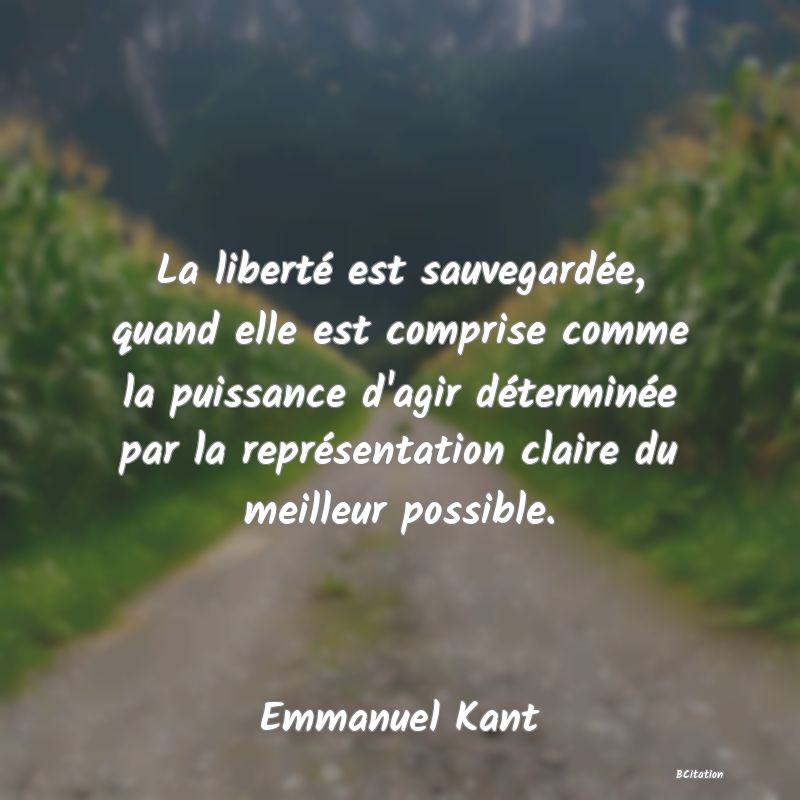 Belle Citation - La liberté est sauvegardée, quand elle est comprise comme la puissance d'agir déterminée par la représentation claire du meilleur possible. - Emmanuel Kant