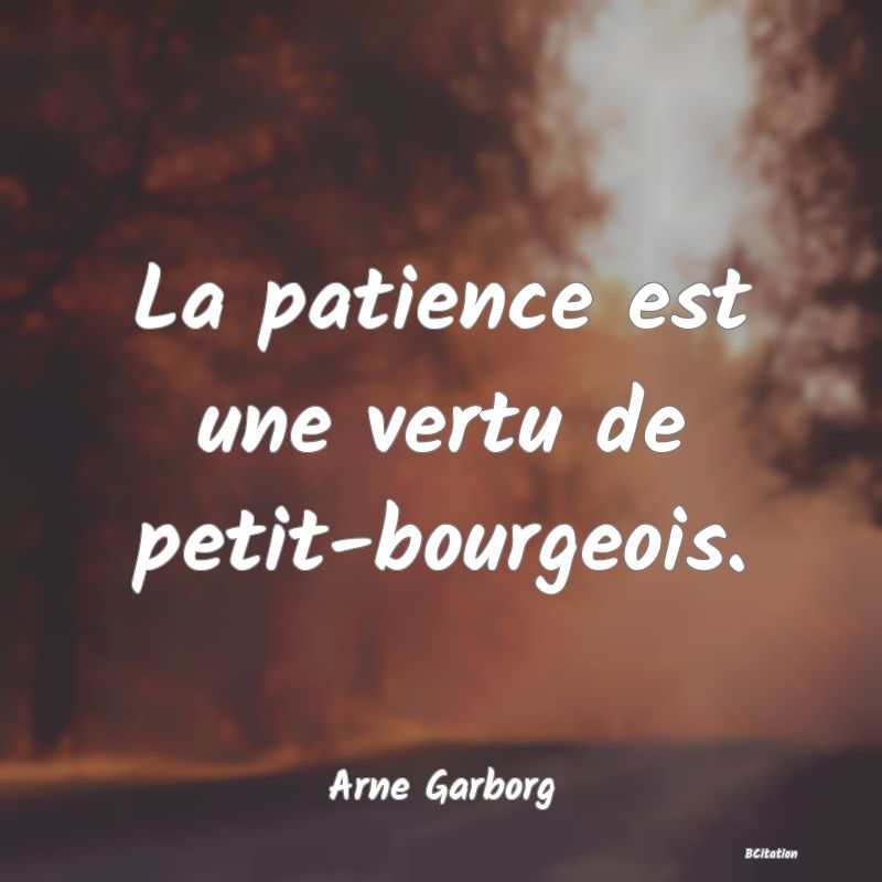 image de citation: La patience est une vertu de petit-bourgeois.
