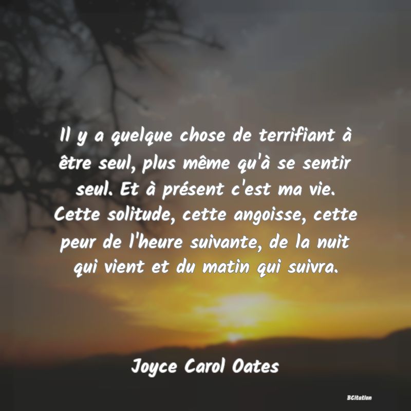 Belle Citation - Il y a quelque chose de terrifiant à être seul, plus même qu'à se sentir seul. Et à présent c'est ma vie. Cette solitude, cette angoisse, cette peur de l'heure suivante, de la nuit qui vient et du matin qui suivra. - Joyce Carol Oates