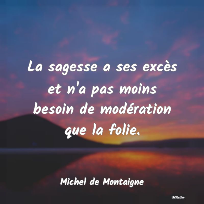 image de citation: La sagesse a ses excès et n'a pas moins besoin de modération que la folie.