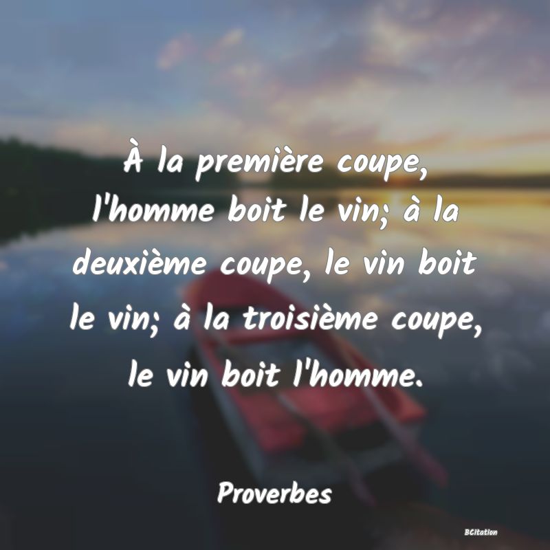 image de citation: À la première coupe, l'homme boit le vin; à la deuxième coupe, le vin boit le vin; à la troisième coupe, le vin boit l'homme.