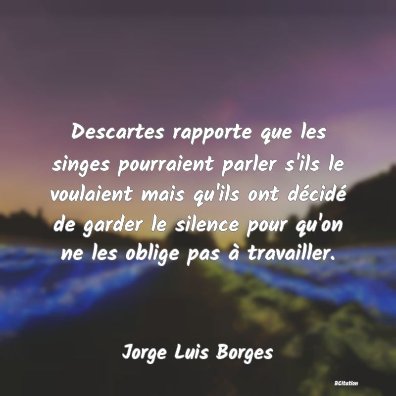 image de citation: Descartes rapporte que les singes pourraient parler s'ils le voulaient mais qu'ils ont décidé de garder le silence pour qu'on ne les oblige pas à travailler.