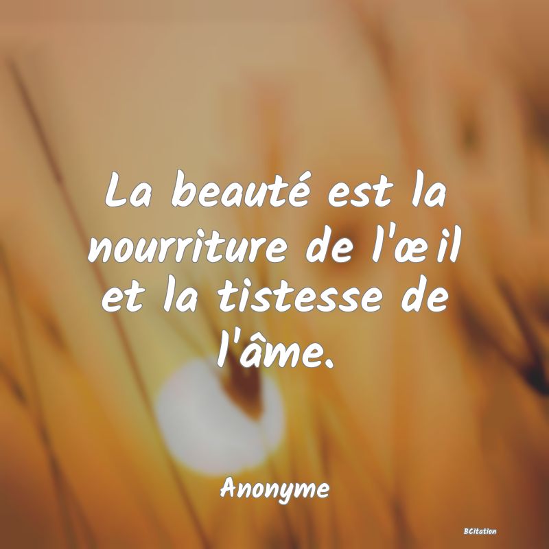 image de citation: La beauté est la nourriture de l'œil et la tistesse de l'âme.