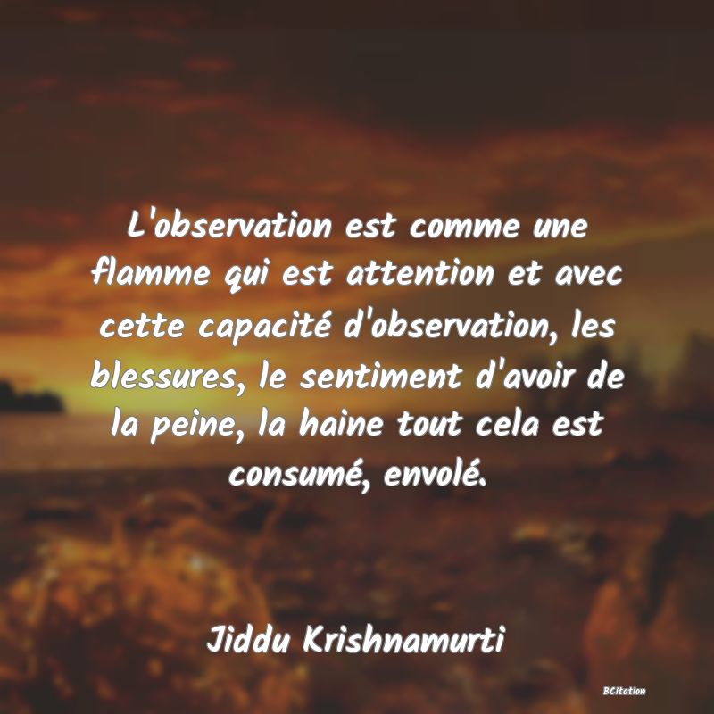 image de citation: L'observation est comme une flamme qui est attention et avec cette capacité d'observation, les blessures, le sentiment d'avoir de la peine, la haine tout cela est consumé, envolé.