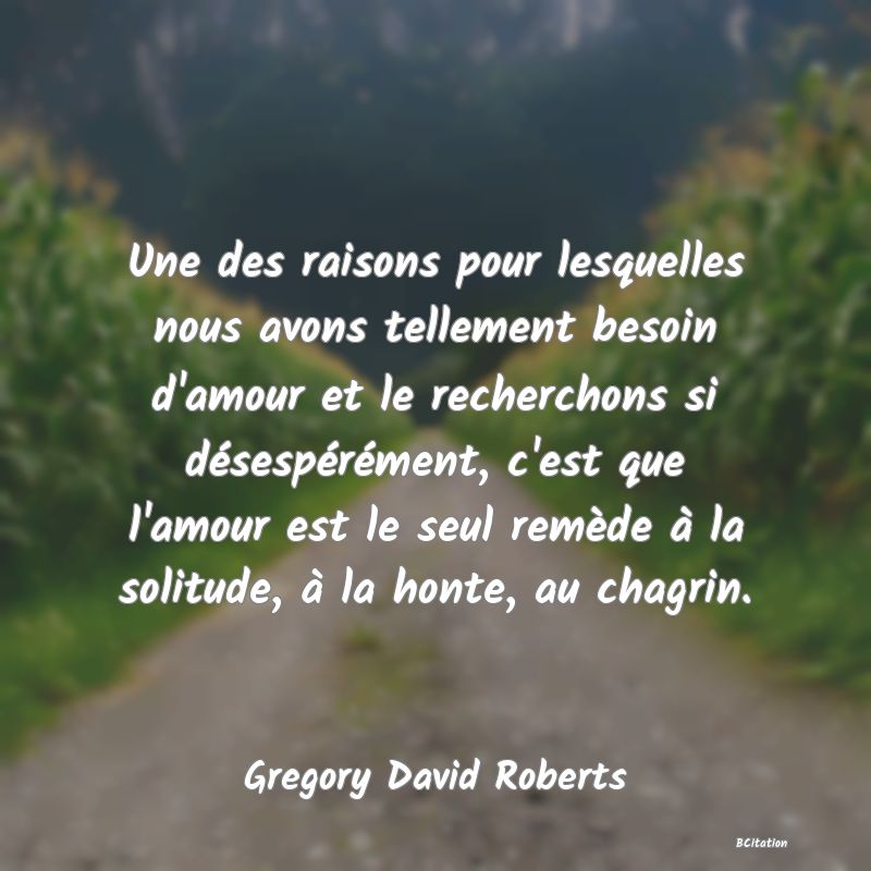 image de citation: Une des raisons pour lesquelles nous avons tellement besoin d'amour et le recherchons si désespérément, c'est que l'amour est le seul remède à la solitude, à la honte, au chagrin.