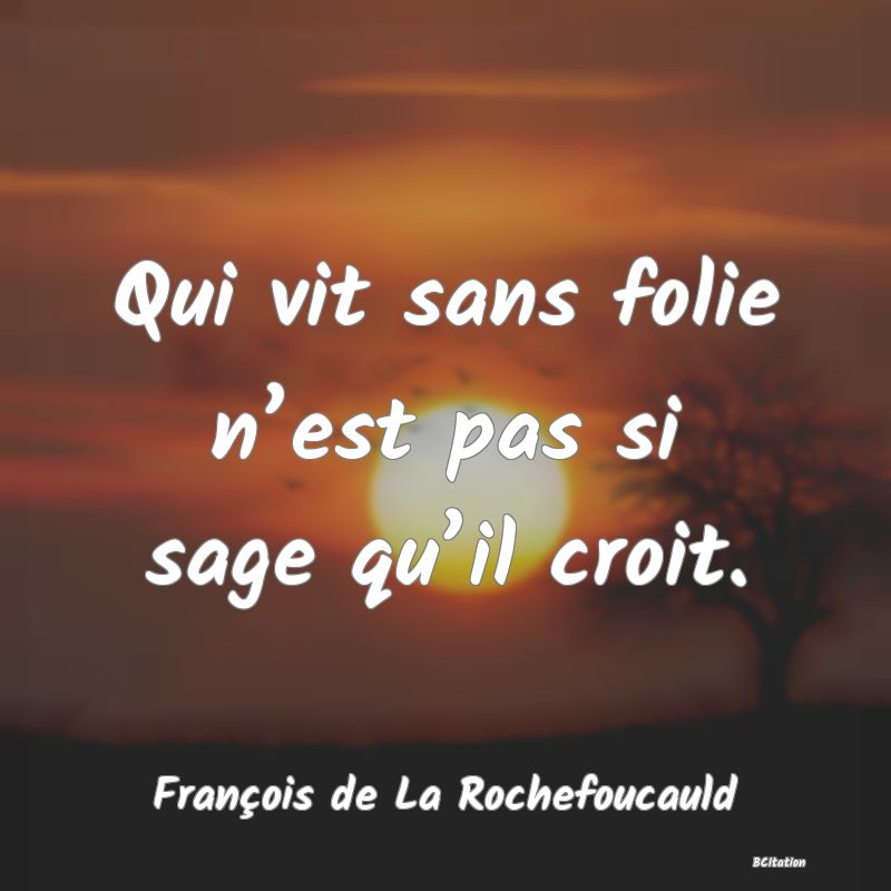 image de citation: Qui vit sans folie n’est pas si sage qu’il croit.