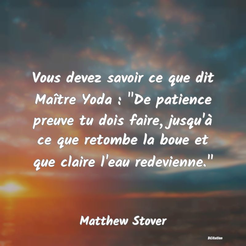 image de citation: Vous devez savoir ce que dit Maître Yoda :  De patience preuve tu dois faire, jusqu'à ce que retombe la boue et que claire l'eau redevienne. 