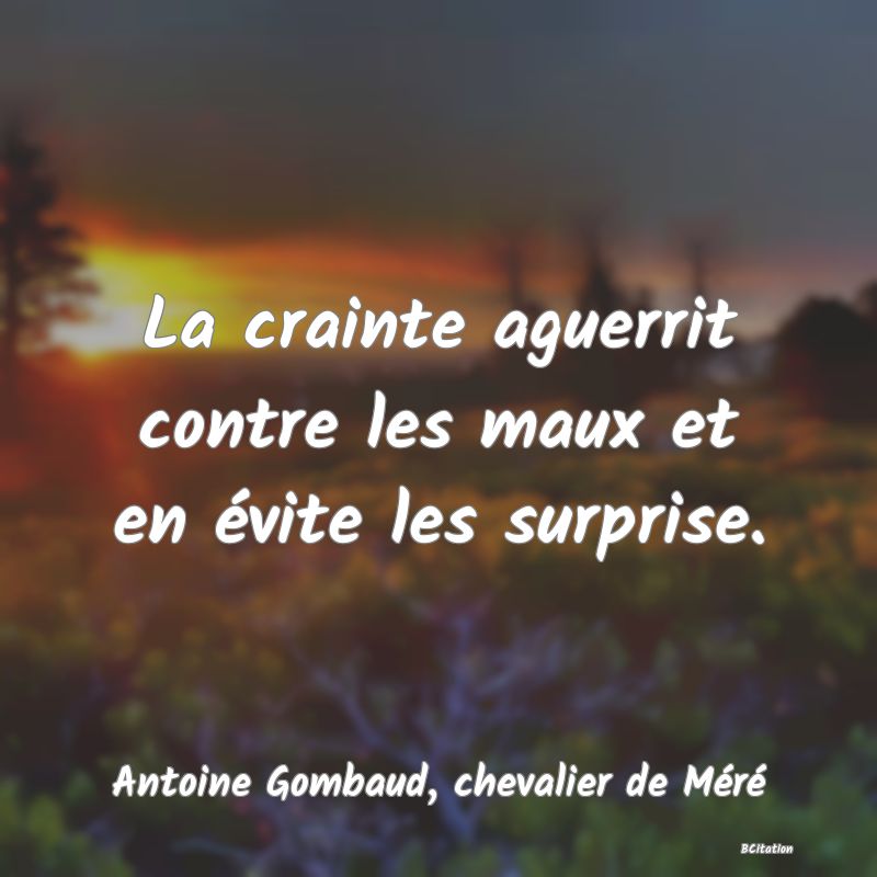 image de citation: La crainte aguerrit contre les maux et en évite les surprise.