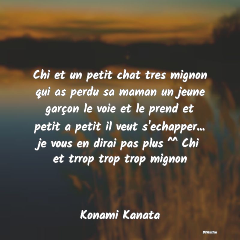 image de citation: Chi et un petit chat tres mignon qui as perdu sa maman un jeune garçon le voie et le prend et petit a petit il veut s'echapper... je vous en dirai pas plus ^^ Chi et trrop trop trop mignon