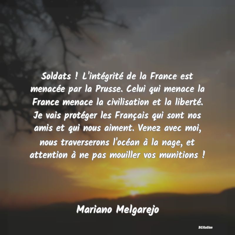 image de citation: Soldats ! L'intégrité de la France est menacée par la Prusse. Celui qui menace la France menace la civilisation et la liberté. Je vais protéger les Français qui sont nos amis et qui nous aiment. Venez avec moi, nous traverserons l'océan à la nage, et attention à ne pas mouiller vos munitions !