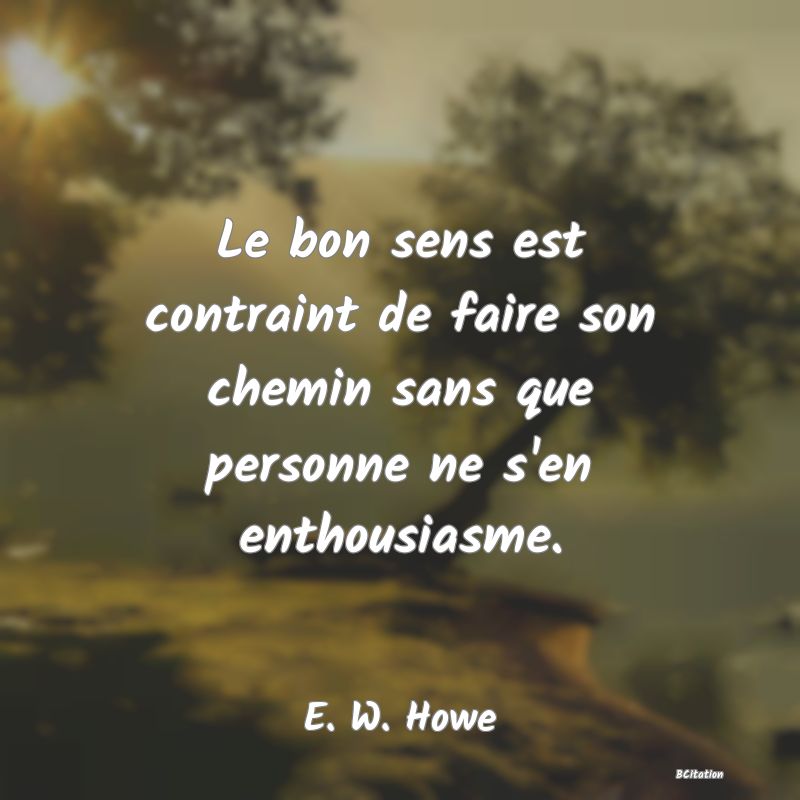 image de citation: Le bon sens est contraint de faire son chemin sans que personne ne s'en enthousiasme.