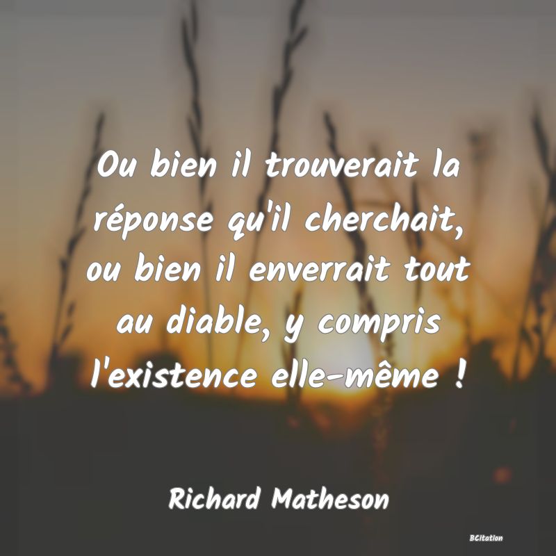 image de citation: Ou bien il trouverait la réponse qu'il cherchait, ou bien il enverrait tout au diable, y compris l'existence elle-même !