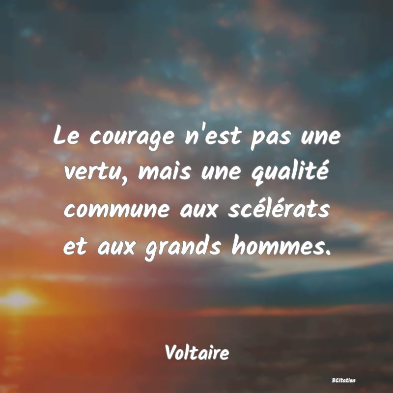 image de citation: Le courage n'est pas une vertu, mais une qualité commune aux scélérats et aux grands hommes.