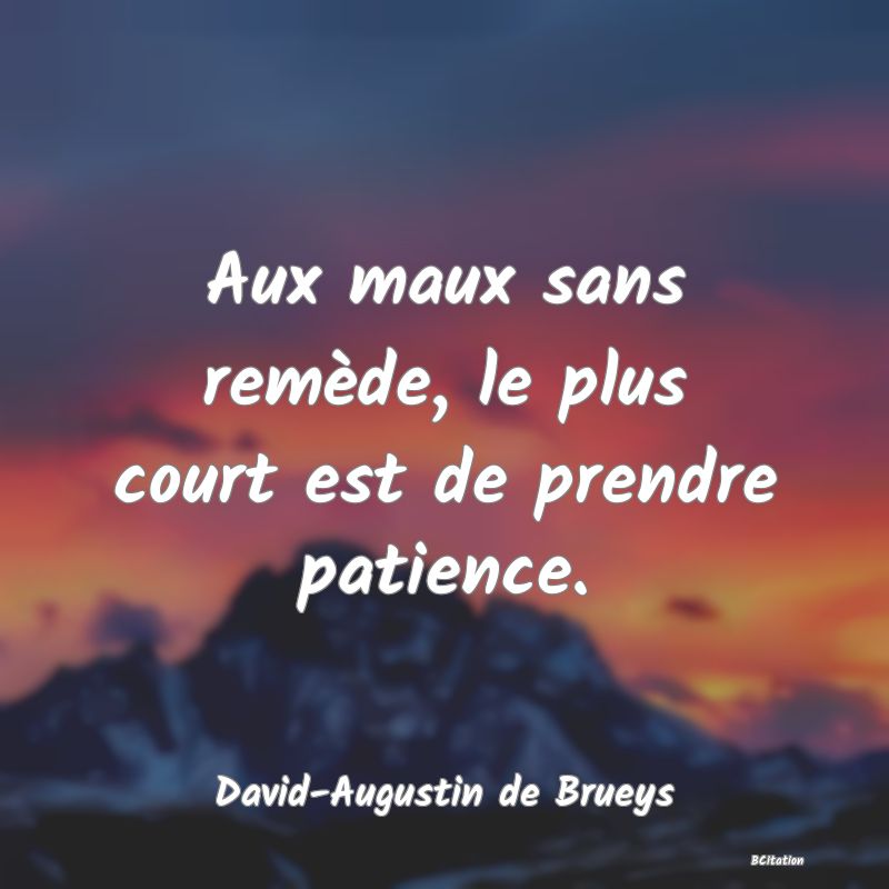 Belle Citation - Aux maux sans remède, le plus court est de prendre patience. - David-Augustin de Brueys