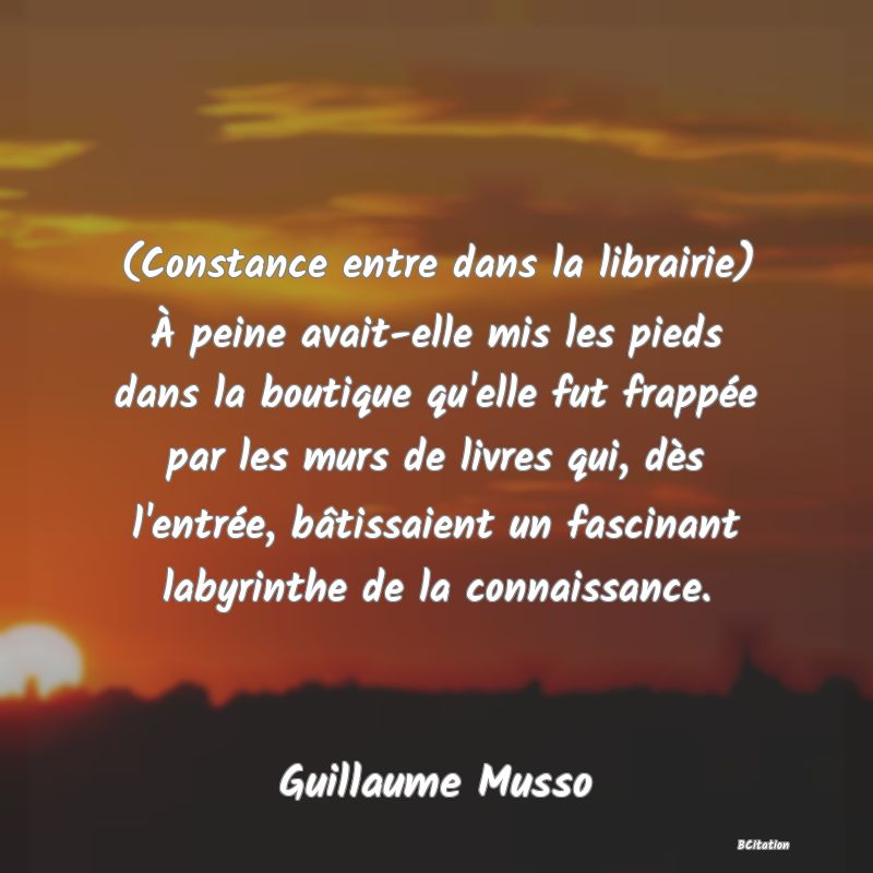 image de citation: (Constance entre dans la librairie) À peine avait-elle mis les pieds dans la boutique qu'elle fut frappée par les murs de livres qui, dès l'entrée, bâtissaient un fascinant labyrinthe de la connaissance.