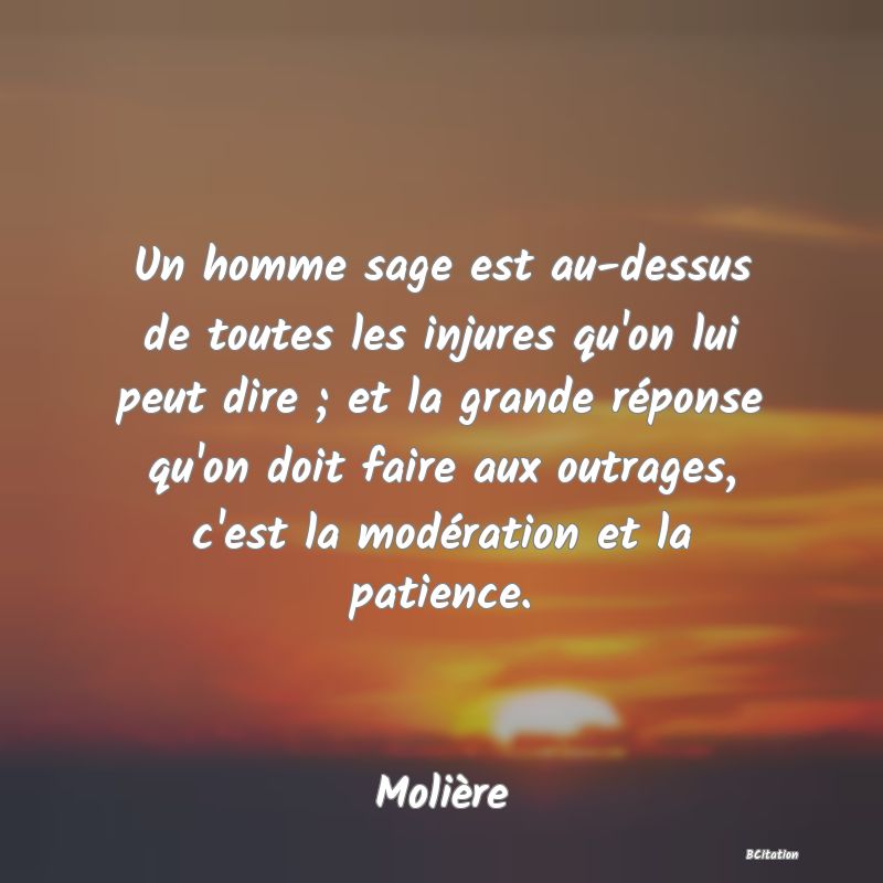 image de citation: Un homme sage est au-dessus de toutes les injures qu'on lui peut dire ; et la grande réponse qu'on doit faire aux outrages, c'est la modération et la patience.