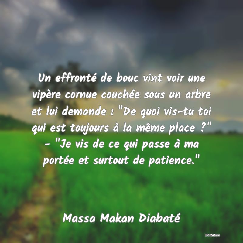 image de citation: Un effronté de bouc vint voir une vipère cornue couchée sous un arbre et lui demande :  De quoi vis-tu toi qui est toujours à la même place ?  -  Je vis de ce qui passe à ma portée et surtout de patience. 