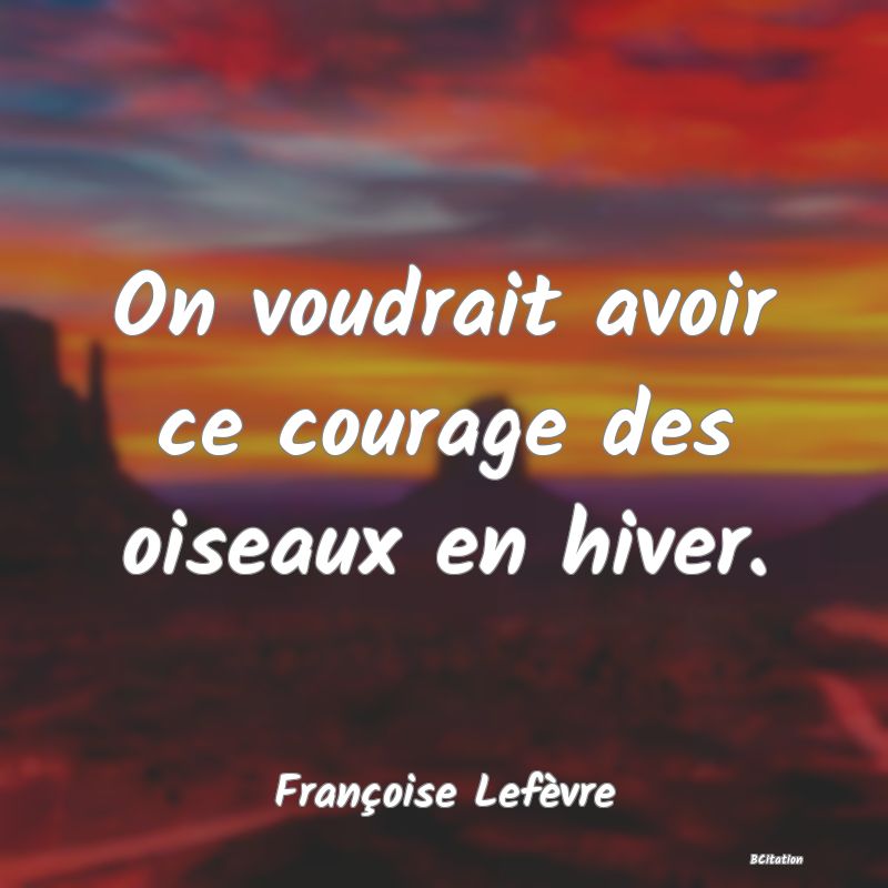 image de citation: On voudrait avoir ce courage des oiseaux en hiver.