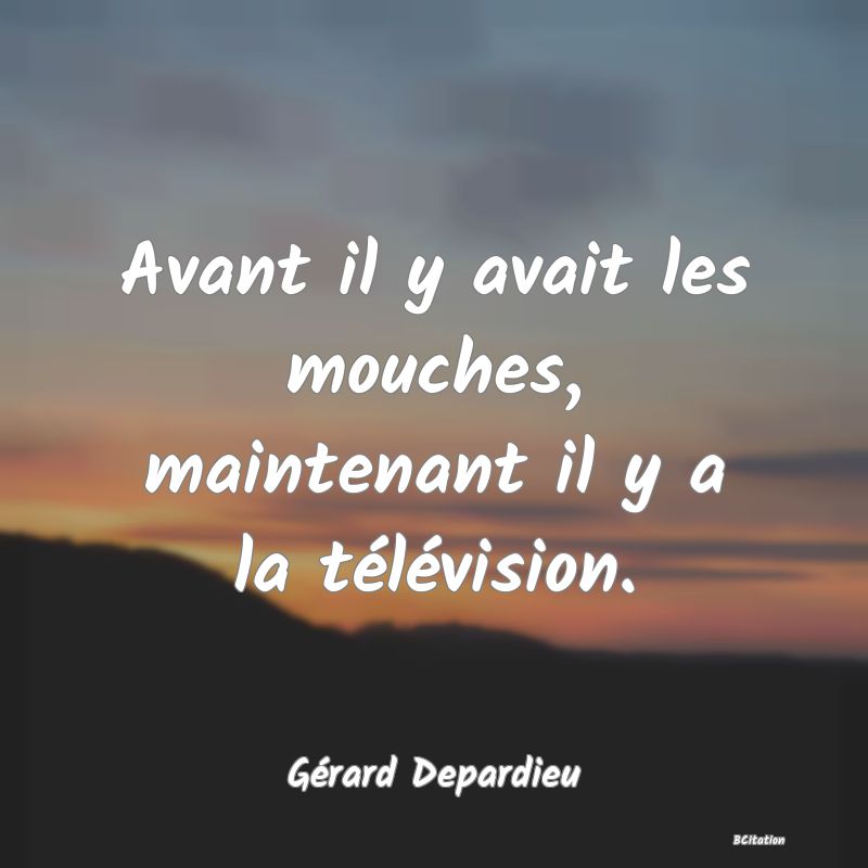 image de citation: Avant il y avait les mouches, maintenant il y a la télévision.