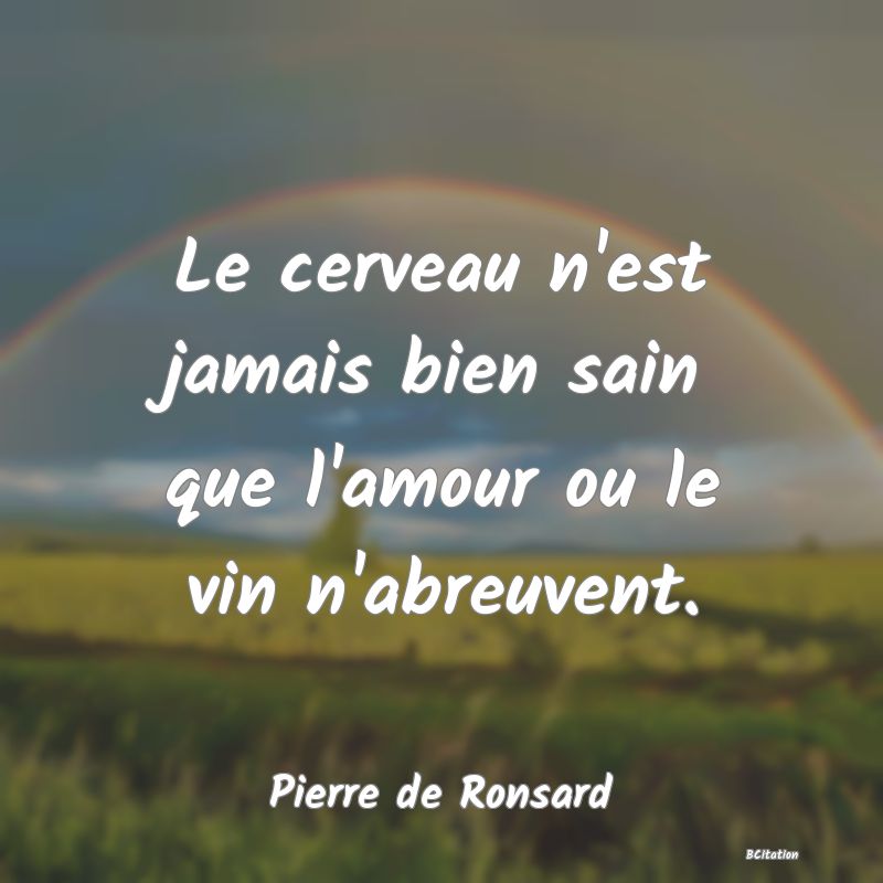 Belle Citation - Le cerveau n'est jamais bien sain que l'amour ou le vin n'abreuvent. - Pierre de Ronsard